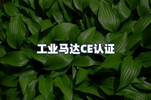 CE认证咨询服务